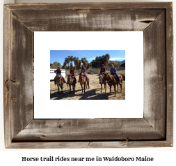 horse trail rides near me in Waldoboro, Maine